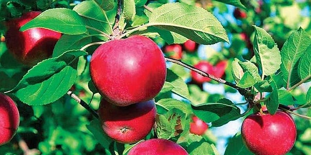 Story image