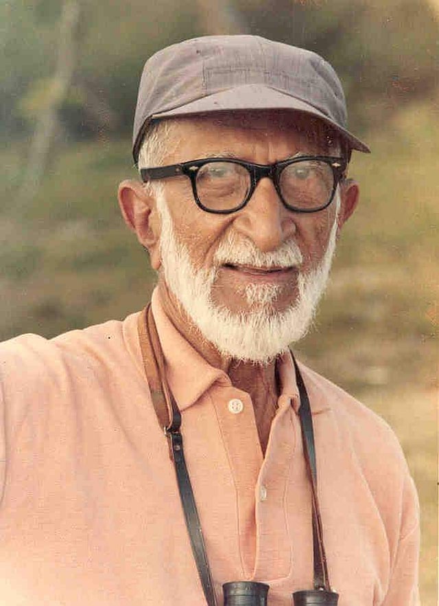 സാലിം അലി