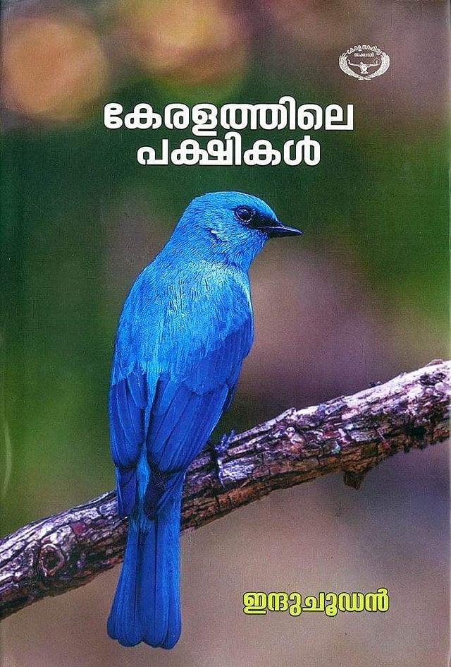 Story image