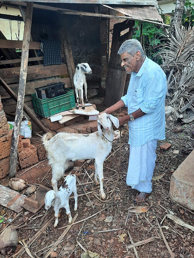 കണ്ണുകാണാത്ത കുഞ്ഞിപ്പ