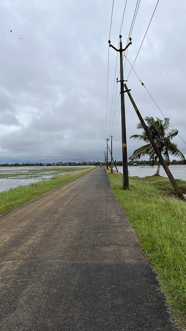 road in between paddy field