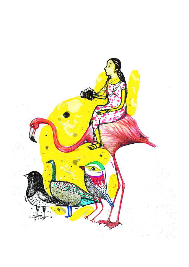 ചിത്രീകരണം: സചീന്ദ്രന് കാറഡുക്ക