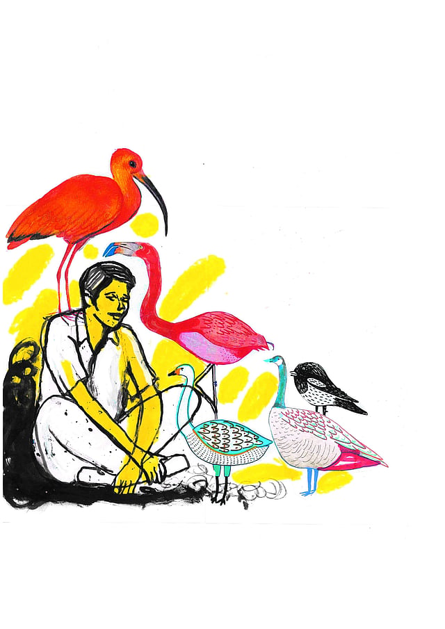 ചിത്രീകരണം: സചീന്ദ്രന് കാറഡുക്ക