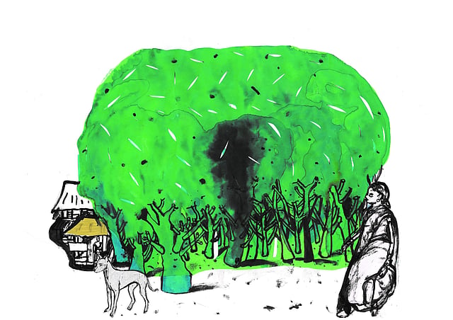 ചിത്രീകരണം-സചീന്ദ്രന് കാറഡുക്ക