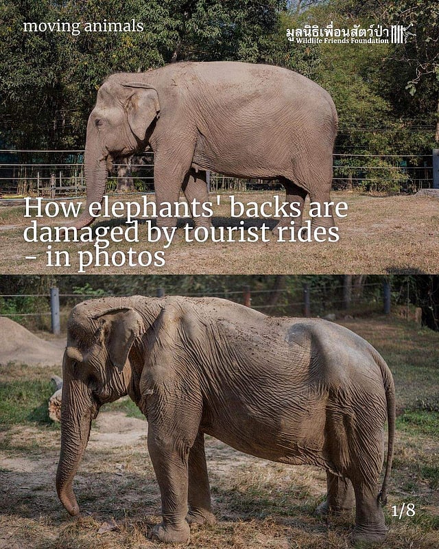 Story image