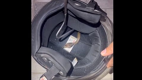 ഹെൽമറ്റിനുള്ളിൽ പാമ്പ്