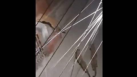 തെരുവിൽ നടന്നുനീങ്ങുന്ന മൂന്ന് പുലികളുടെ ദൃശ്യം