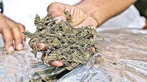 പ്രതീകാത്മക ചിത്രം