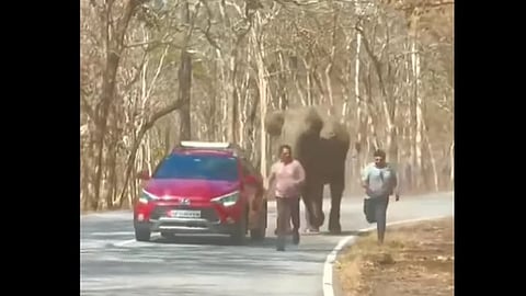 സഞ്ചാരികൾക്ക് നേരെ പാഞ്ഞടുക്കുന്ന കാട്ടാന