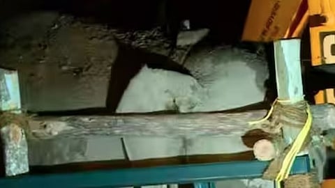 
ആനയെ അനിമല്‍ ആംബുലന്‍സില്‍ കയറ്റി കൊണ്ടുപോകുന്നു 
