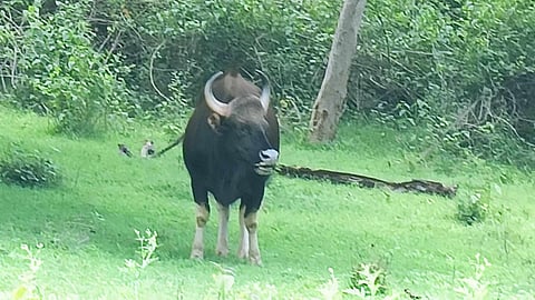 പ്രതീകാത്മക ചിത്രം
