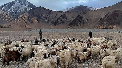 വീഡിയോ ദൃശ്യം
