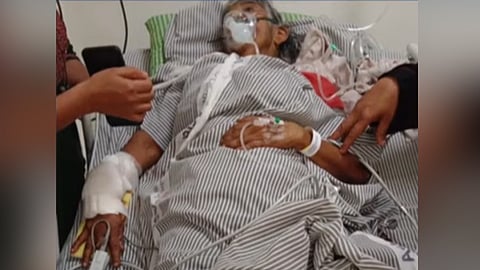 വയോധികയ്ക്ക് നേരെ കാട്ടുപന്നിയുടെ ആക്രമണം