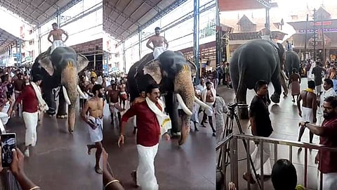 ഗുരുവായൂർ ആനയോട്ടം