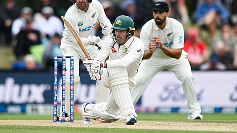 അലക്സ് കാരി