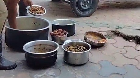 ബത്തേരിയിൽ പഴകിയ ഭക്ഷണം പിടികൂടി