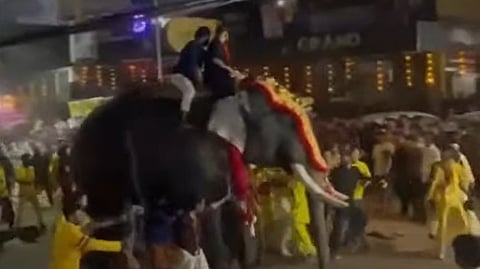 പട്ടാമ്പി നേര്‍ച്ചയ്ക്കിടെ സംഘര്‍ഷമുണ്ടായപ്പോള്‍ വിരണ്ടോടുന്ന ആന