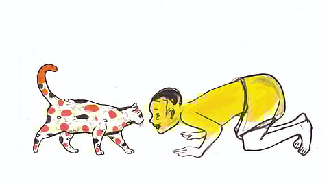 അര്‍ജുന്‍ രവീന്ദ്രന്‍ എഴുതിയ കഥ: കാലിക്കോ