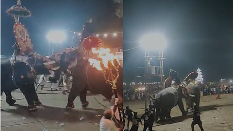 ആറാട്ടുപുഴ ക്ഷേത്രത്തിൽ ആനകൾ തമ്മിൽ കൊമ്പുകോർത്തപ്പോൾ