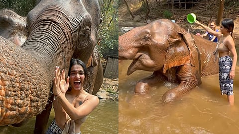 സാനിയ അയ്യപ്പന്‍ ആനകള്‍ക്കൊപ്പം