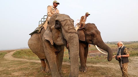 ആനയ്ക്ക് ഭക്ഷണം നൽകുന്ന നരേന്ദ്രമോദി