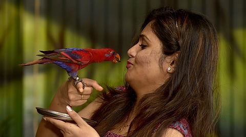 യൂറോപ്പിൽ 'പാരറ്റ് ഫീവർ' വ്യാപകമാകുന്നു