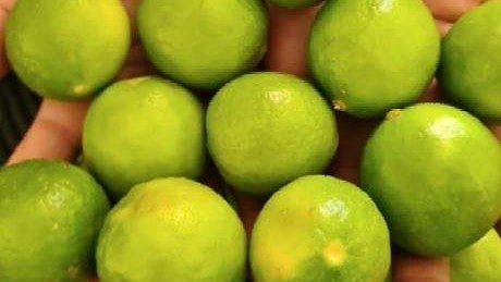 ശൂലത്തില്‍ കുത്തിയ ഒന്‍പത് നാരങ്ങ ലേലത്തില്‍ പോയത് 2.36 ലക്ഷം രൂപയ്ക്ക്