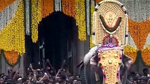 അയല്‍ സംസ്ഥാനങ്ങളില്‍നിന്ന് ആനകളെ എത്തിക്കാം; ആനക്കൈമാറ്റങ്ങള്‍ക്ക് അനുമതി