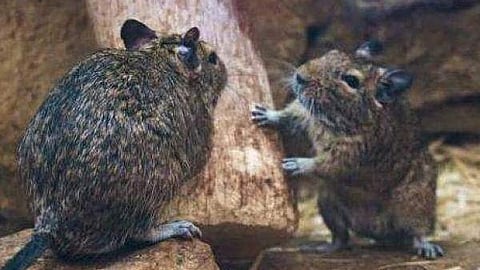 പ്രതീകാത്മക ചിത്രം