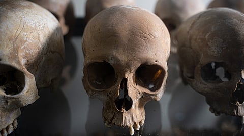 
റുവാണ്ടയിലെ പടിഞ്ഞാറന്‍ പ്രവിശ്യയിലെ കിബുയേയിലെ ഗട്വാരോയിലുള്ള സ്മാരകത്തില്‍ സൂക്ഷിച്ചിരിക്കുന്ന ടുട്സി വംശഹത്യാ ഇരകളുടെ തലയോട്ടി