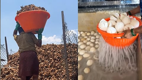 India's Only Zero Waste Food Industry?" Video Of Coconut Factory