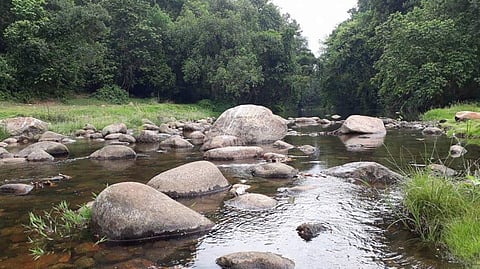 Goa bans swimming in waterfalls