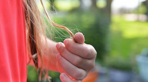 Hair growth, hair care