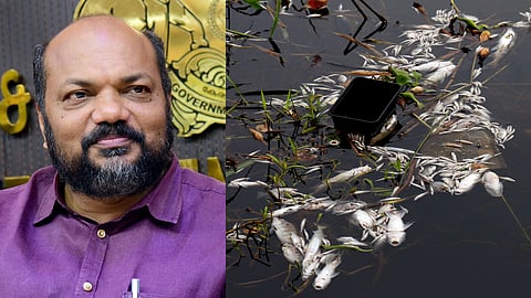 രാസമാലിന്യം കലര്‍ന്നോയെന്നു പരിശോധിക്കും; തെളിഞ്ഞാല്‍ കര്‍ശന നടപടി: പി രാജീവ്