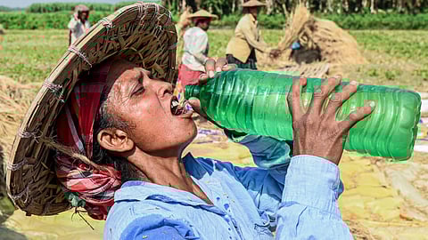 summer in north india