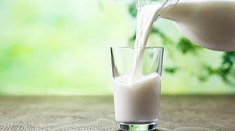 Commercial Sale Of Human Milk, Food Safety Body Warns 