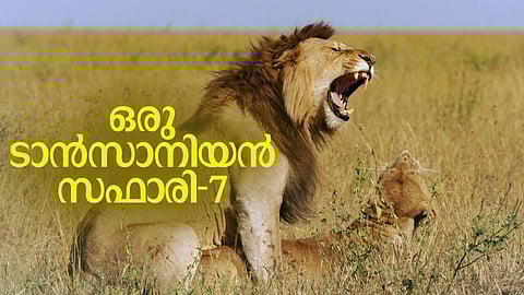 ''കാടിന്റെ രാത്രിത്തോറ്റങ്ങള്‍, സിരകളിലേക്കു നേരെച്ചെന്നുണര്‍ത്തുന്ന ആഫ്രിക്കന്‍ കാപ്പിയുടെ മാദകത്വം''