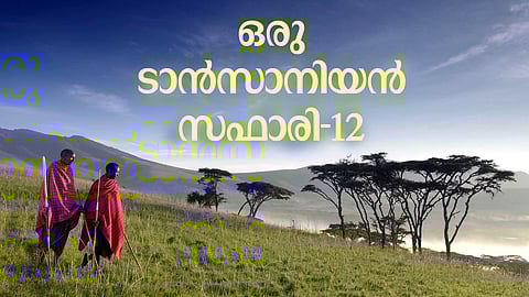 ''പലവര്‍ണ്ണ ഇഴകളിട്ട കമ്പളംപോലെ ഗോരംഗോരോ അഗ്നിപര്‍വ്വത ഗര്‍ത്തത്തിന്റെ അടിത്തട്ട്, 
അതില്‍ നീങ്ങുന്ന മൃഗസംഘങ്ങള്‍''

