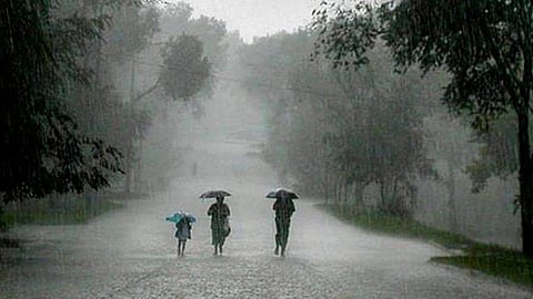 rain today