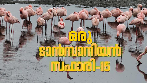 പക്ഷികളുടെ പറുദീസയില്‍