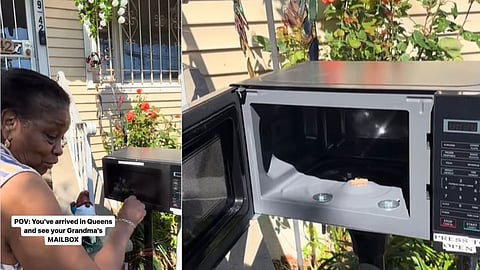 microwave viral video