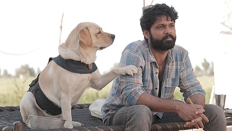 വളർത്തു മൃ​ഗങ്ങളെ ഇഷ്ടമാണോ ? നിങ്ങളുടെ മനം കവരും ഈ സിനിമകൾ