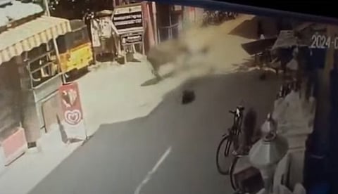 A woman walking on the road in Tiruvottiyur, Chennai was hit by a buffalo and dragged by its horn