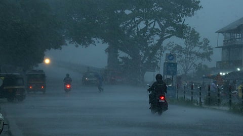  collectors bans entry night trips