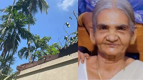 Palm fell elderly woman died