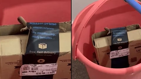 couple claims to find cobra inside Amazon package Viral video
