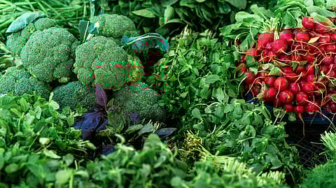 Foods To Avoid During Monsoon