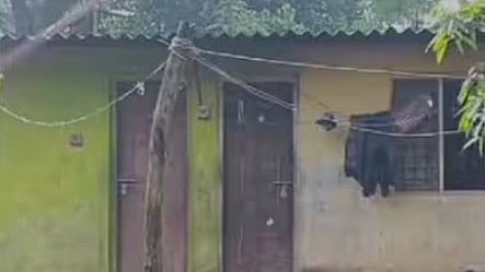 Perumbavoor murder case