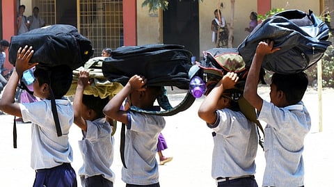 python in school bag