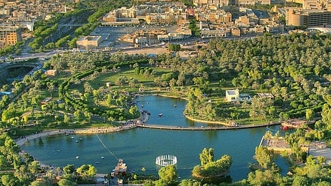 Saudi Arabia plants 13 million mangroves to combat desertification